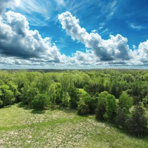 Photo #14 of Off Longs Mill Road - Lot 1, Blanch, NC 35.5 acres