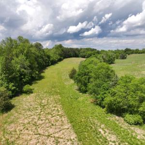 Photo #15 of Off Longs Mill Road - Lot 1, Blanch, NC 35.5 acres