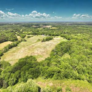 Photo #18 of Off Longs Mill Road - Lot 1, Blanch, NC 35.5 acres