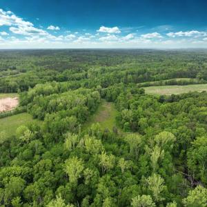 Photo #4 of Off Longs Mill Road - Lot 1, Blanch, NC 35.5 acres