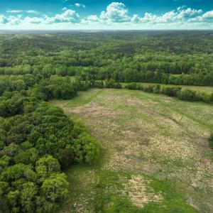 Photo #6 of Off Longs Mill Road - Lot 1, Blanch, NC 35.5 acres