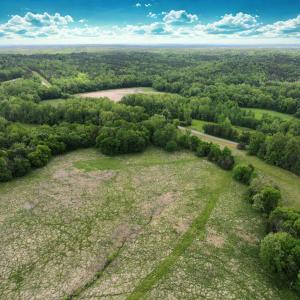 Photo #7 of Off Longs Mill Road - Lot 1, Blanch, NC 35.5 acres