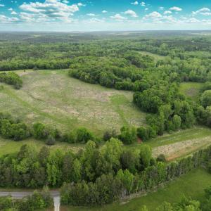 Photo #9 of Off Longs Mill Road - Lot 1, Blanch, NC 35.5 acres