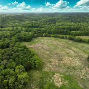 Photo #10 of Off Longs Mill Road - Lot 2, Blanch, NC 10.2 acres