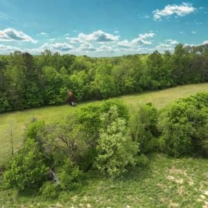 Photo #12 of Off Longs Mill Road - Lot 2, Blanch, NC 10.2 acres