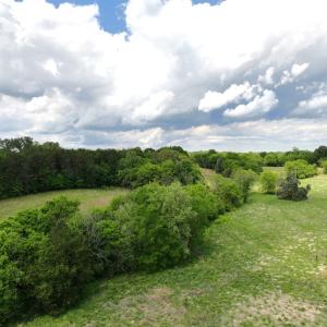 Photo #13 of Off Longs Mill Road - Lot 2, Blanch, NC 10.2 acres