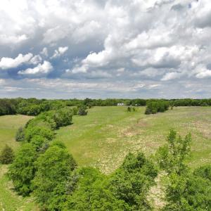 Photo #14 of Off Longs Mill Road - Lot 2, Blanch, NC 10.2 acres
