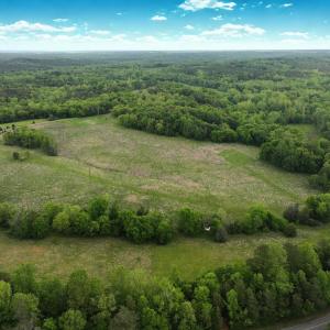 Photo #3 of Off Longs Mill Road - Lot 2, Blanch, NC 10.2 acres