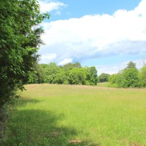 Photo #28 of Off Longs Mill Road - Lot 2, Blanch, NC 10.2 acres