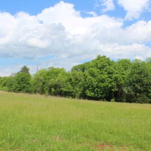 Photo #29 of Off Longs Mill Road - Lot 2, Blanch, NC 10.2 acres