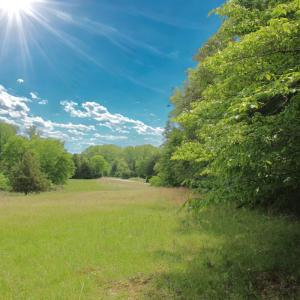 Photo #30 of Off Longs Mill Road - Lot 2, Blanch, NC 10.2 acres