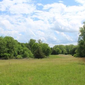 Photo #31 of Off Longs Mill Road - Lot 2, Blanch, NC 10.2 acres