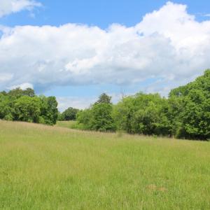 Photo #33 of Off Longs Mill Road - Lot 2, Blanch, NC 10.2 acres