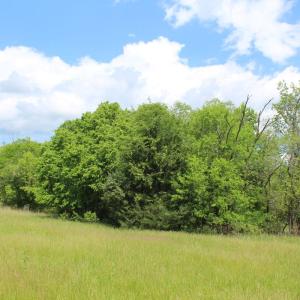 Photo #36 of Off Longs Mill Road - Lot 2, Blanch, NC 10.2 acres