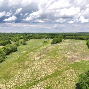 Photo #12 of Off Bill Compton Road and Longs Mill Road - Lot 3, Blanch, NC 10.2 acres