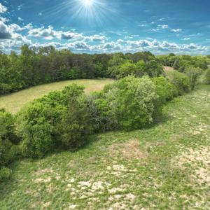 Photo #13 of Off Bill Compton Road and Longs Mill Road - Lot 3, Blanch, NC 10.2 acres