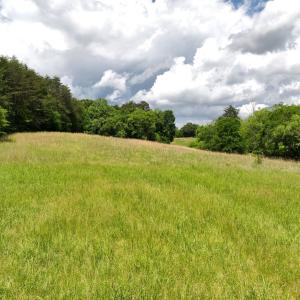 Photo #14 of Off Bill Compton Road and Longs Mill Road - Lot 3, Blanch, NC 10.2 acres