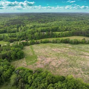 Photo #4 of Off Bill Compton Road and Longs Mill Road - Lot 3, Blanch, NC 10.2 acres