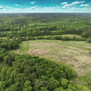 Photo #5 of Off Bill Compton Road and Longs Mill Road - Lot 3, Blanch, NC 10.2 acres