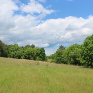 Photo #23 of Off Bill Compton Road and Longs Mill Road - Lot 3, Blanch, NC 10.2 acres