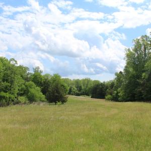 Photo #24 of Off Bill Compton Road and Longs Mill Road - Lot 3, Blanch, NC 10.2 acres