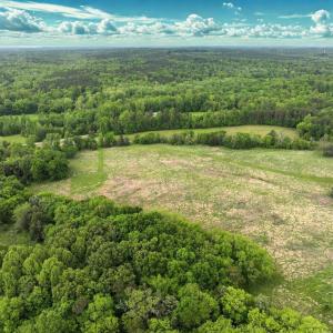 Photo #10 of Off Bill Compton Road - Lot 4, Blanch, NC 10.2 acres