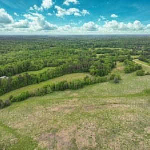 Photo #12 of Off Bill Compton Road - Lot 4, Blanch, NC 10.2 acres
