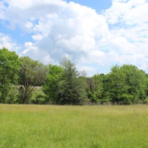Photo #13 of Off Bill Compton Road - Lot 4, Blanch, NC 10.2 acres