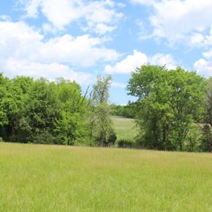 Photo #14 of Off Bill Compton Road - Lot 4, Blanch, NC 10.2 acres
