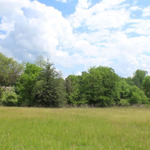Photo #15 of Off Bill Compton Road - Lot 4, Blanch, NC 10.2 acres