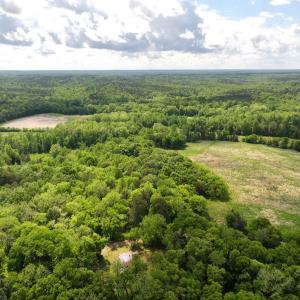 Photo #8 of Off Bill Compton Road - Lot 4, Blanch, NC 10.2 acres