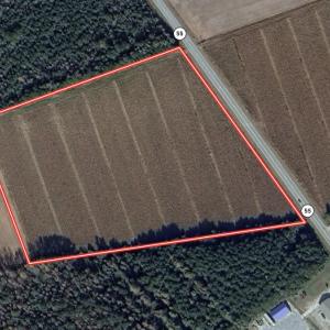 Photo #17 of Off NC 55 Hwy, Merritt, NC 13.7 acres