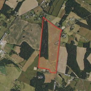 Photo #43 of 10010 Roundtree Road, Mt. Pleasant, NC 61.4 acres