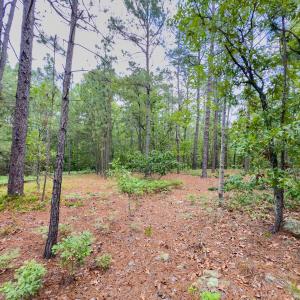 Photo #14 of Off Fox Lane, Wagram, NC 0.8 acres