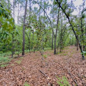 Photo #15 of Off Fox Lane, Wagram, NC 0.8 acres