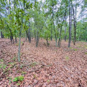 Photo #16 of Off Fox Lane, Wagram, NC 0.8 acres