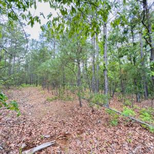 Photo #6 of Off Fox Lane, Wagram, NC 0.8 acres