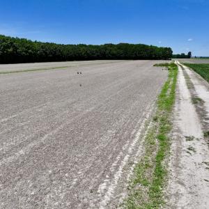 Photo #10 of Off Short Cut Rd, Shawboro, NC 39.3 acres