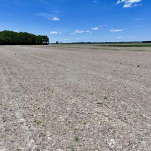 Photo #11 of Off Short Cut Rd, Shawboro, NC 39.3 acres