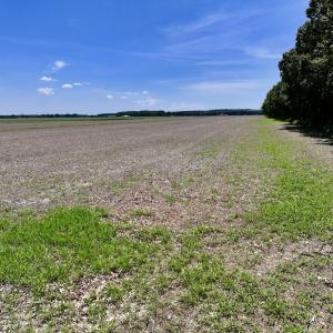 Photo #12 of Off Short Cut Rd, Shawboro, NC 39.3 acres