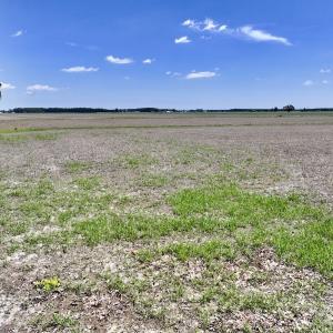 Photo #13 of Off Short Cut Rd, Shawboro, NC 39.3 acres