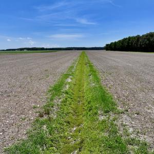 Photo #14 of Off Short Cut Rd, Shawboro, NC 39.3 acres