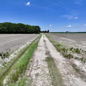 Photo #15 of Off Short Cut Rd, Shawboro, NC 39.3 acres