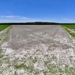 Photo #17 of Off Short Cut Rd, Shawboro, NC 39.3 acres