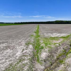 Photo #18 of Off Short Cut Rd, Shawboro, NC 39.3 acres