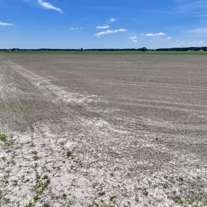 Photo #19 of Off Short Cut Rd, Shawboro, NC 39.3 acres