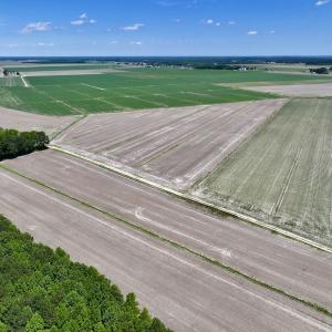Photo #1 of Off Short Cut Rd, Shawboro, NC 39.3 acres