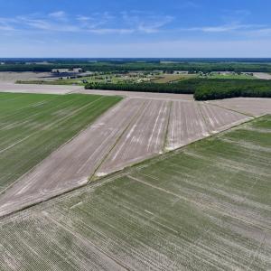 Photo #2 of Off Short Cut Rd, Shawboro, NC 39.3 acres