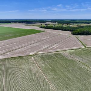 Photo #3 of Off Short Cut Rd, Shawboro, NC 39.3 acres