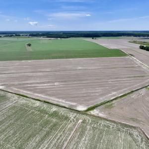 Photo #4 of Off Short Cut Rd, Shawboro, NC 39.3 acres